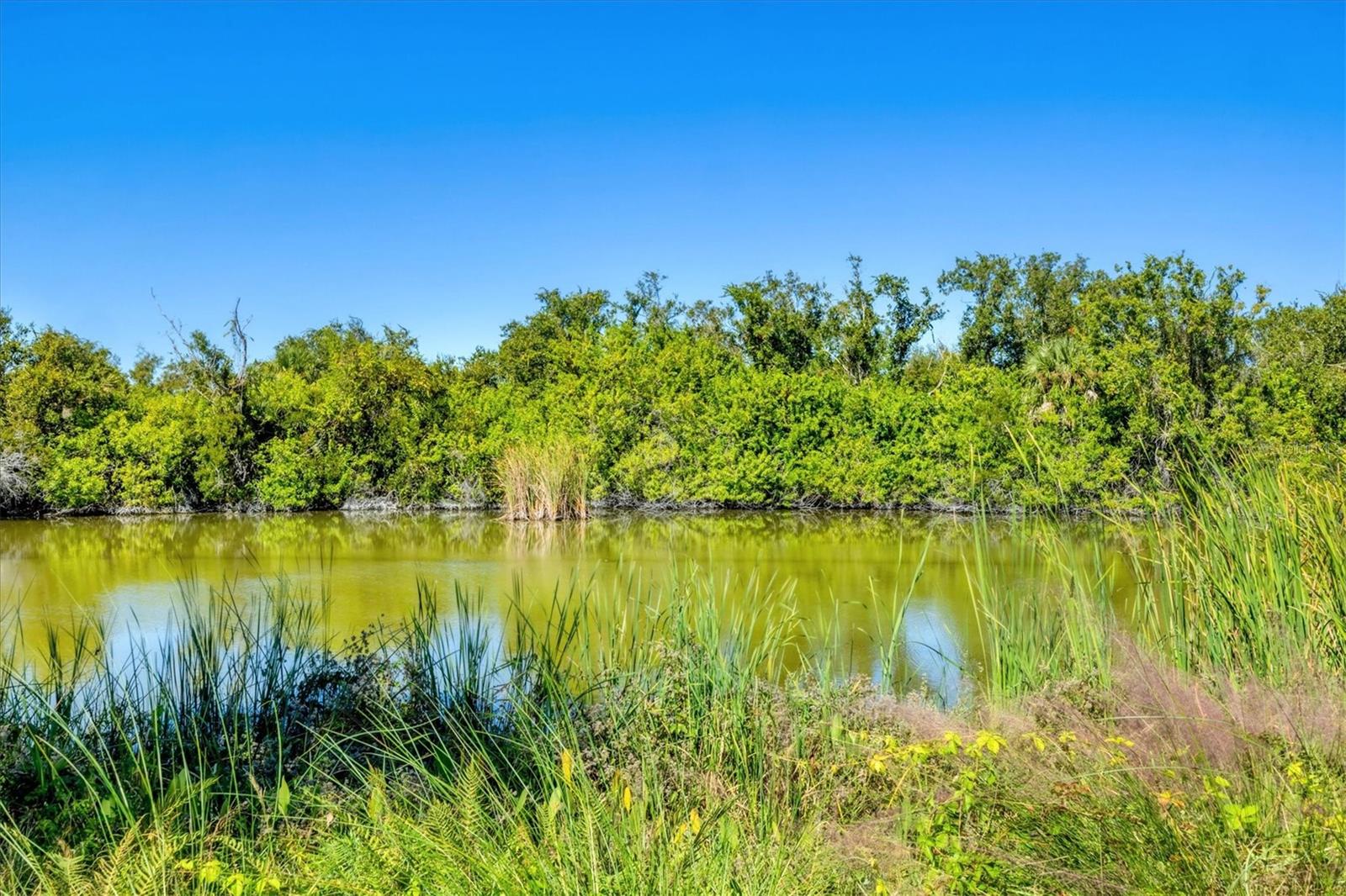 Image 38 of 62 For 498 Buttonbush Lane