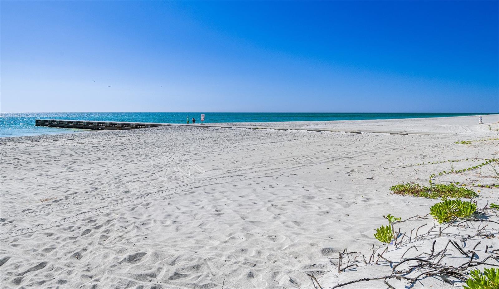 Image 44 of 45 For 2301 Gulf Of Mexico Drive 54n