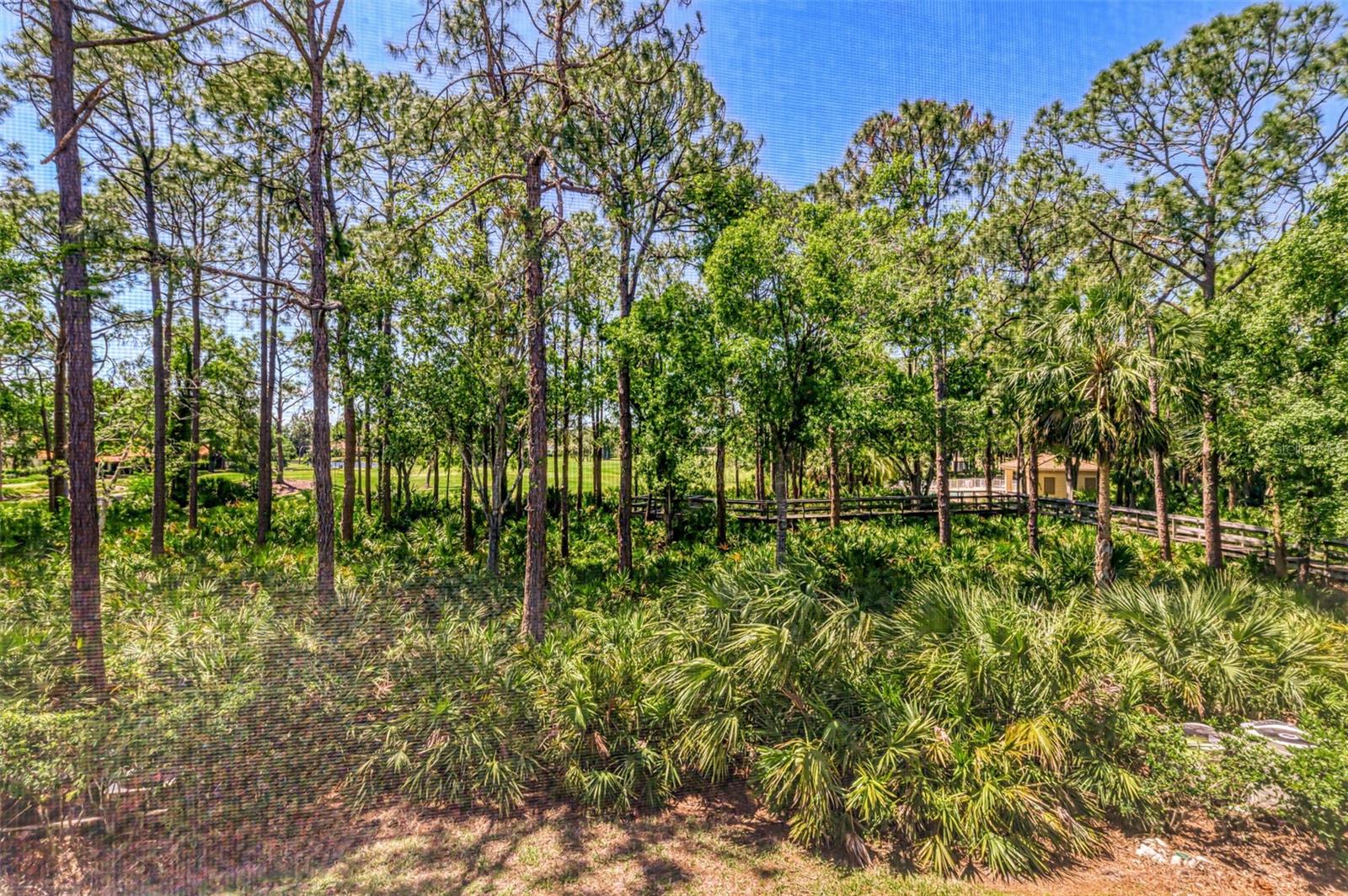 Image 21 of 53 For 4489 Longmeadow  74