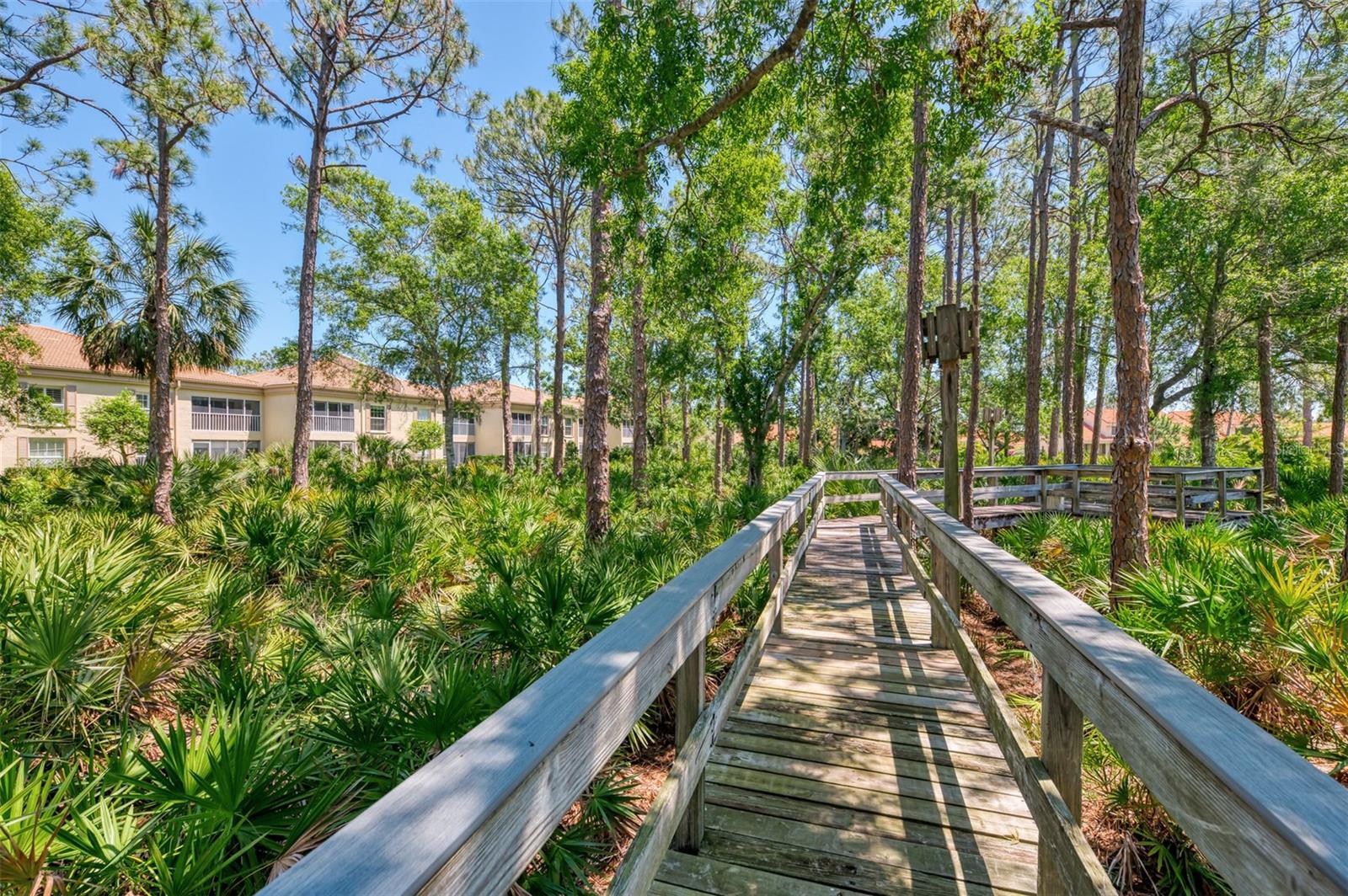 Image 43 of 53 For 4489 Longmeadow  74