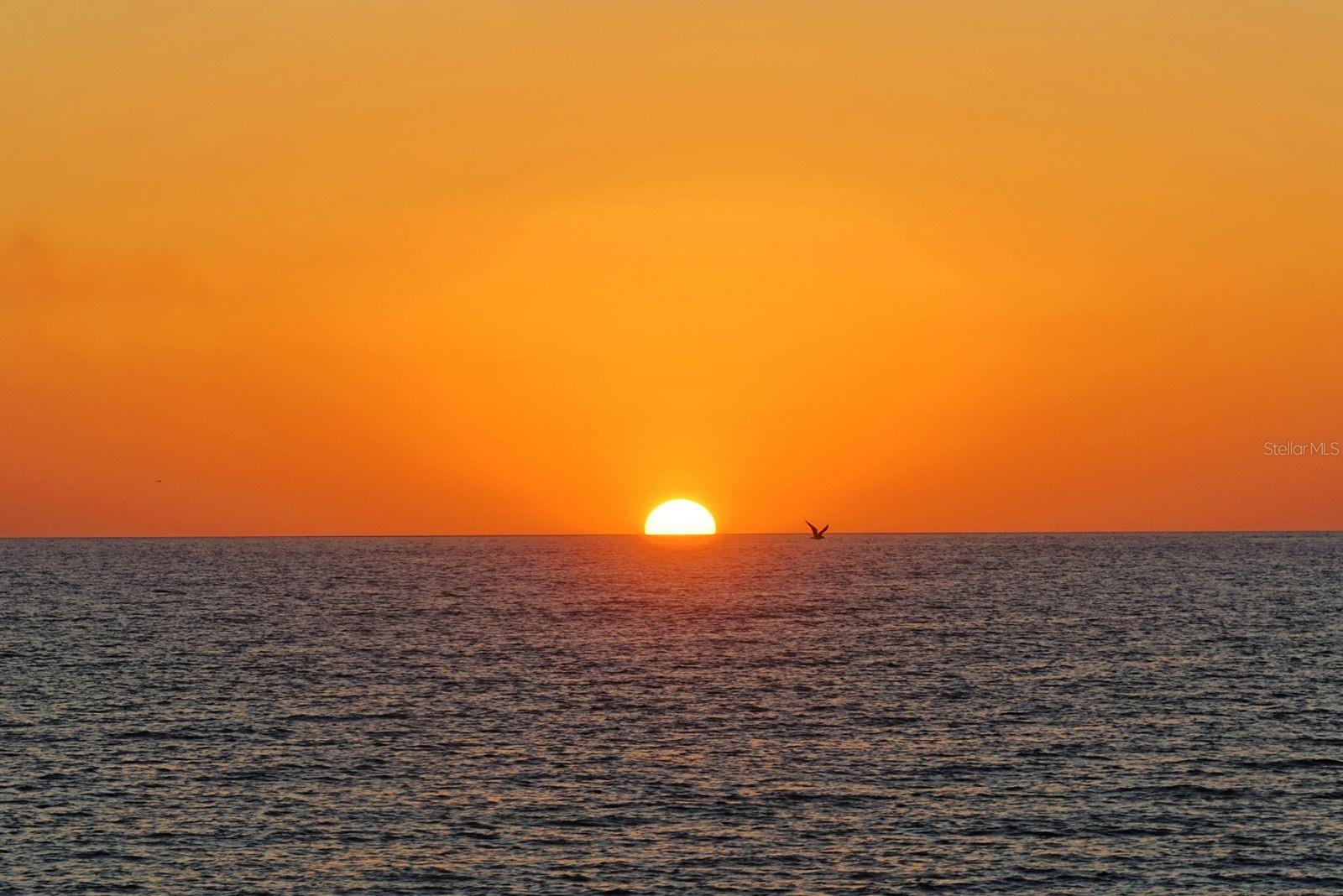 Image 46 of 46 For 101 Benjamin Franklin Drive 54