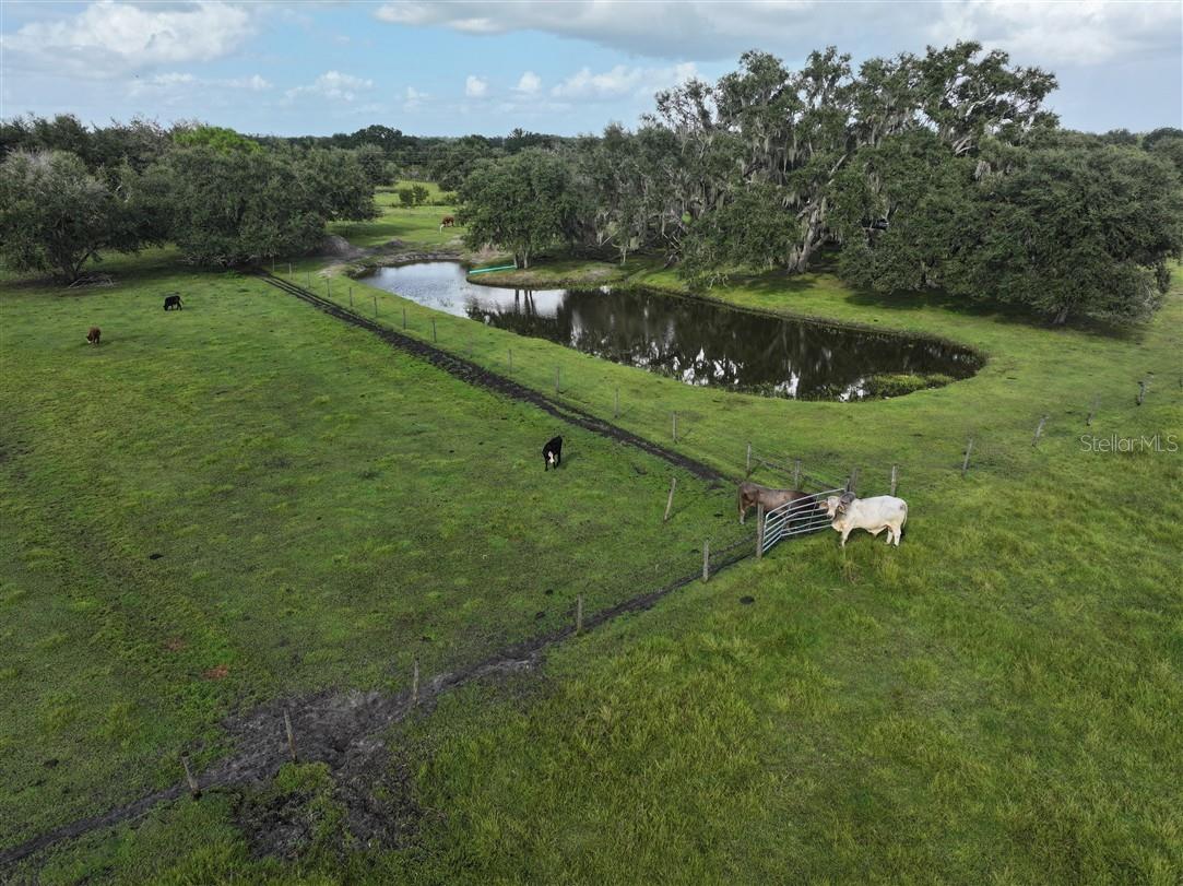 Image 11 of 12 For 14935 Coker Gully Road