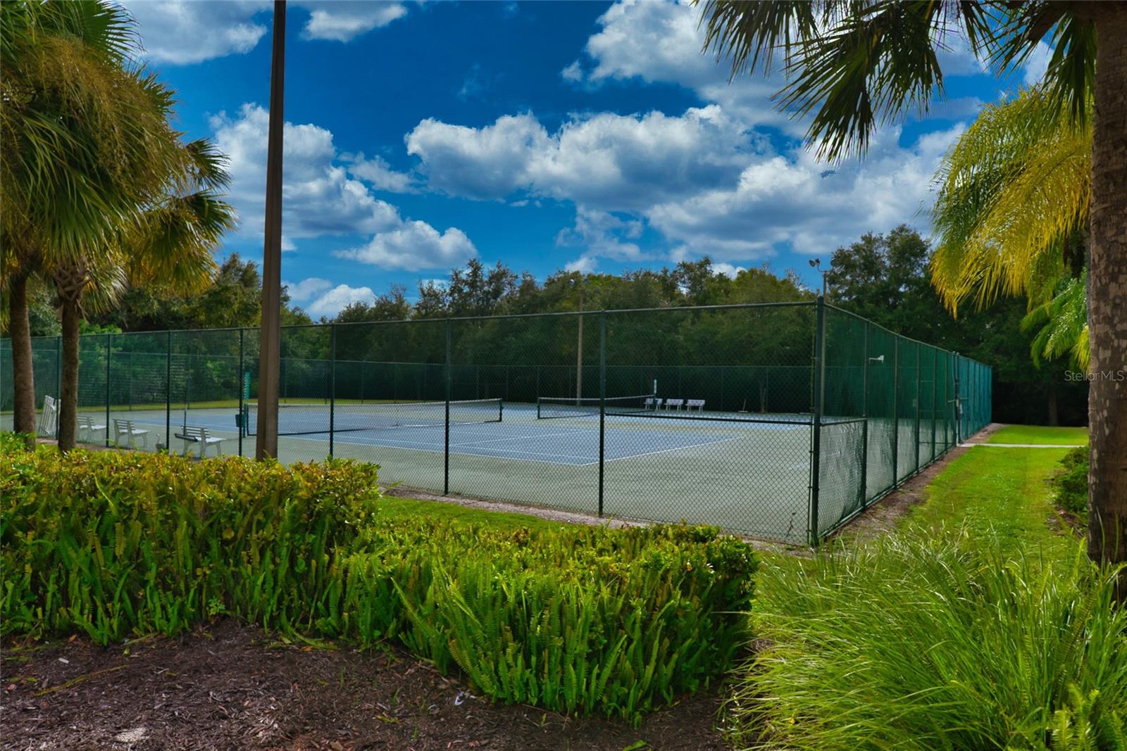 Image 47 of 54 For 12535 Cara Cara Loop