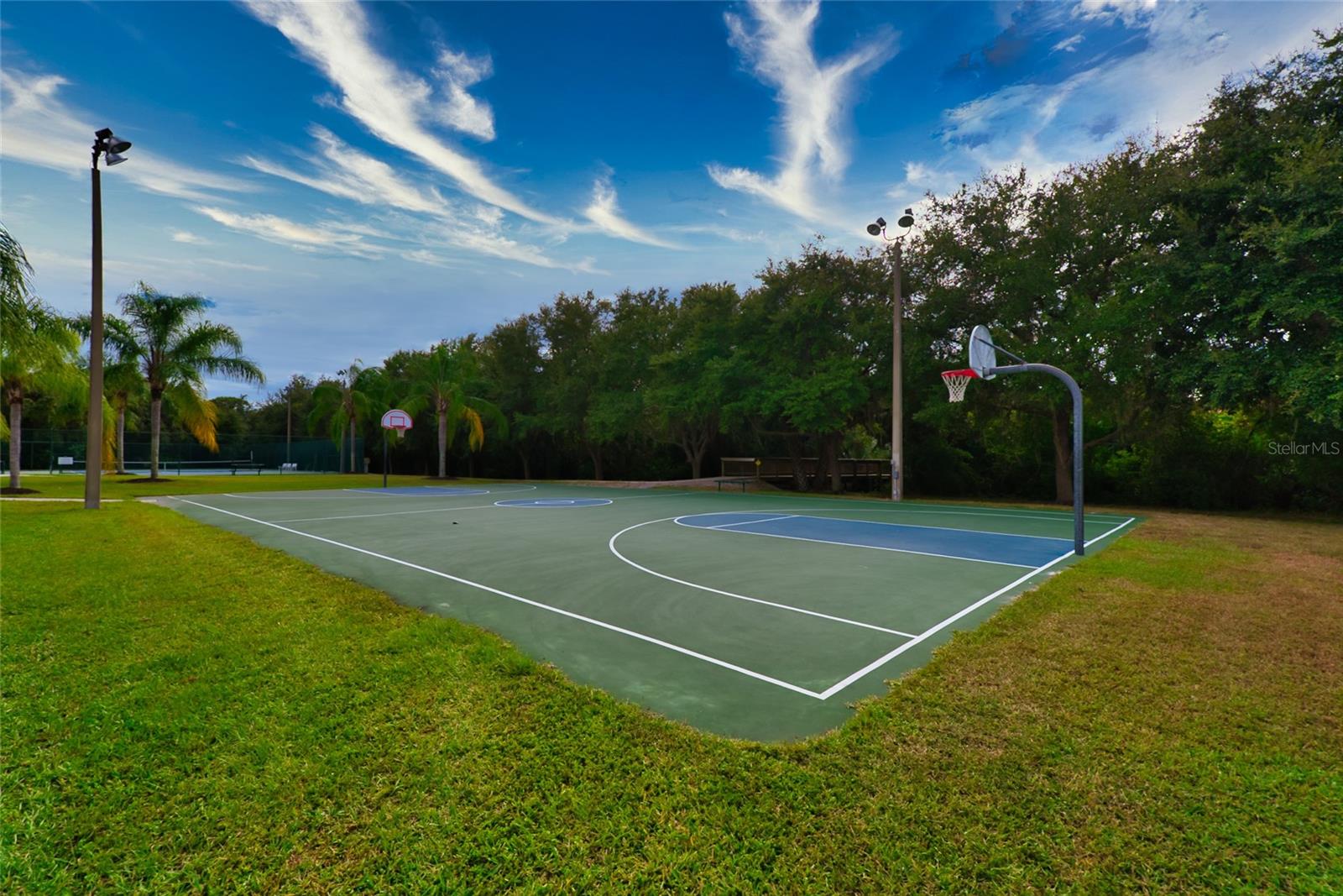 Image 48 of 54 For 12535 Cara Cara Loop