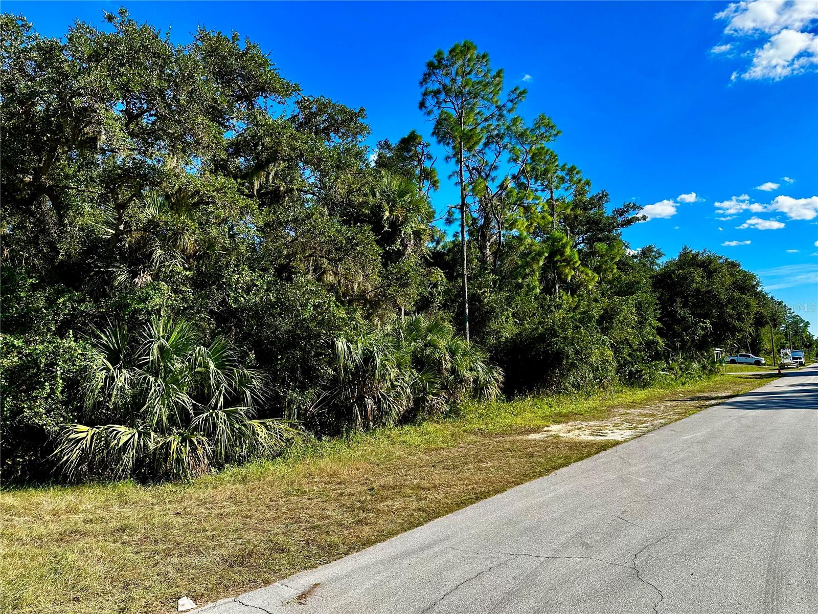 Image 4 of 8 For 19129 Hillsborough Boulevard