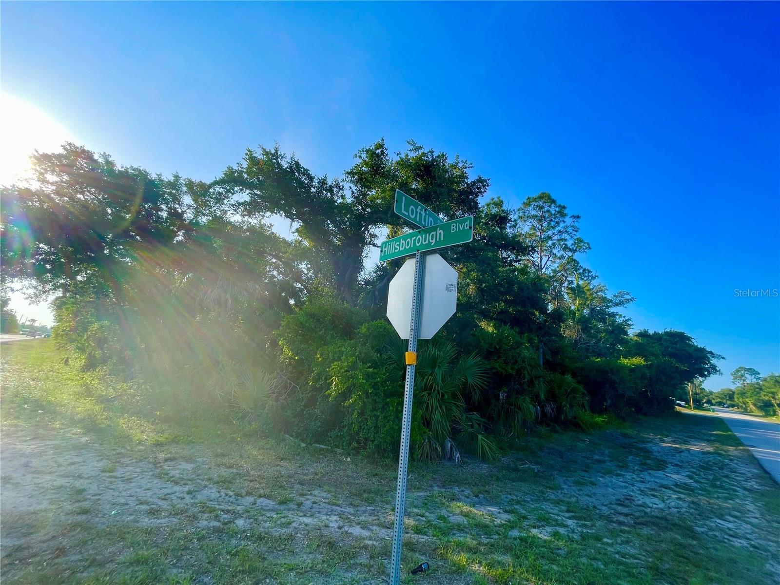 Image 5 of 8 For 19129 Hillsborough Boulevard