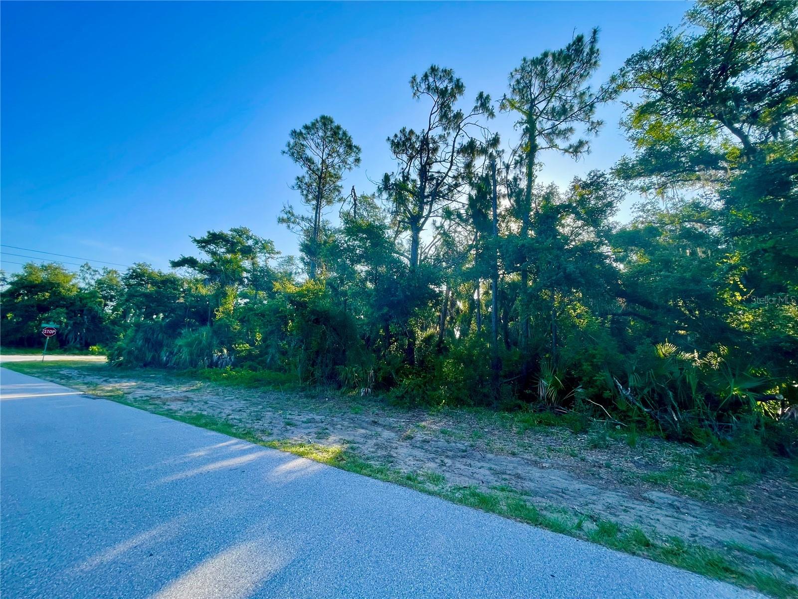 Image 6 of 8 For 19129 Hillsborough Boulevard