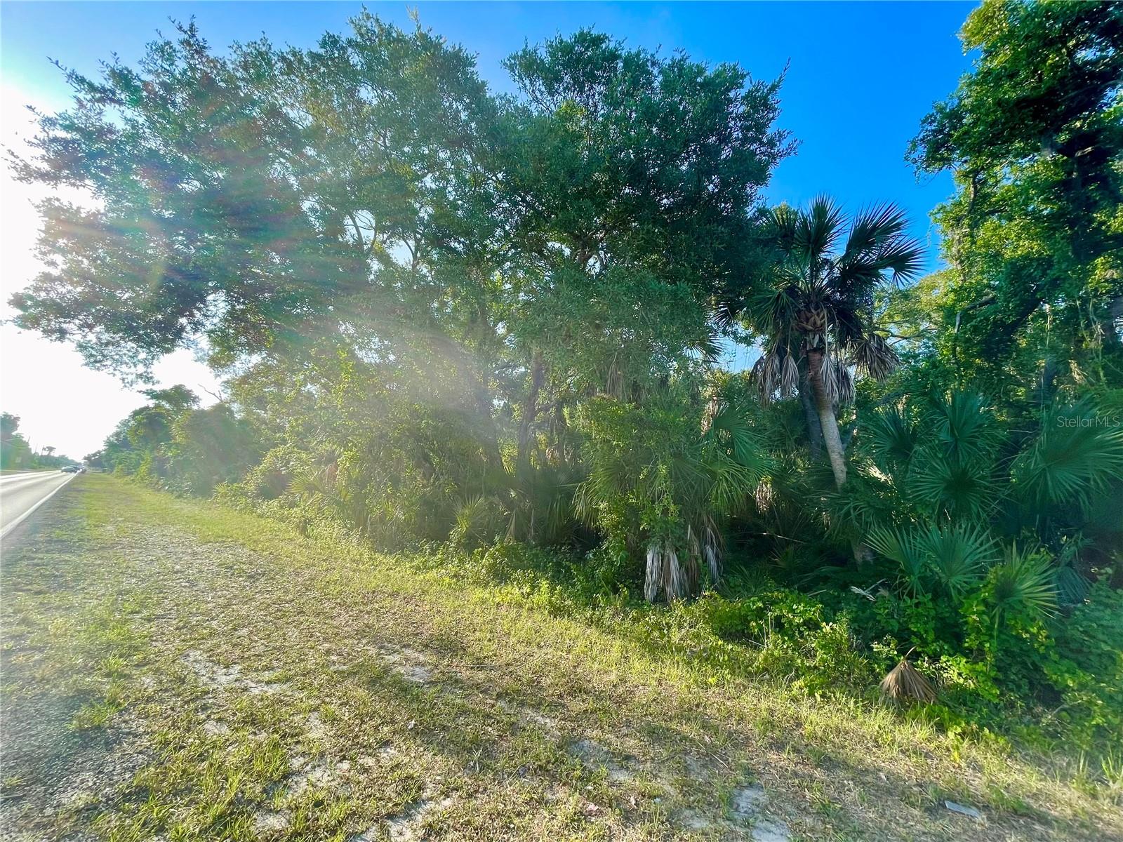 Image 7 of 8 For 19129 Hillsborough Boulevard