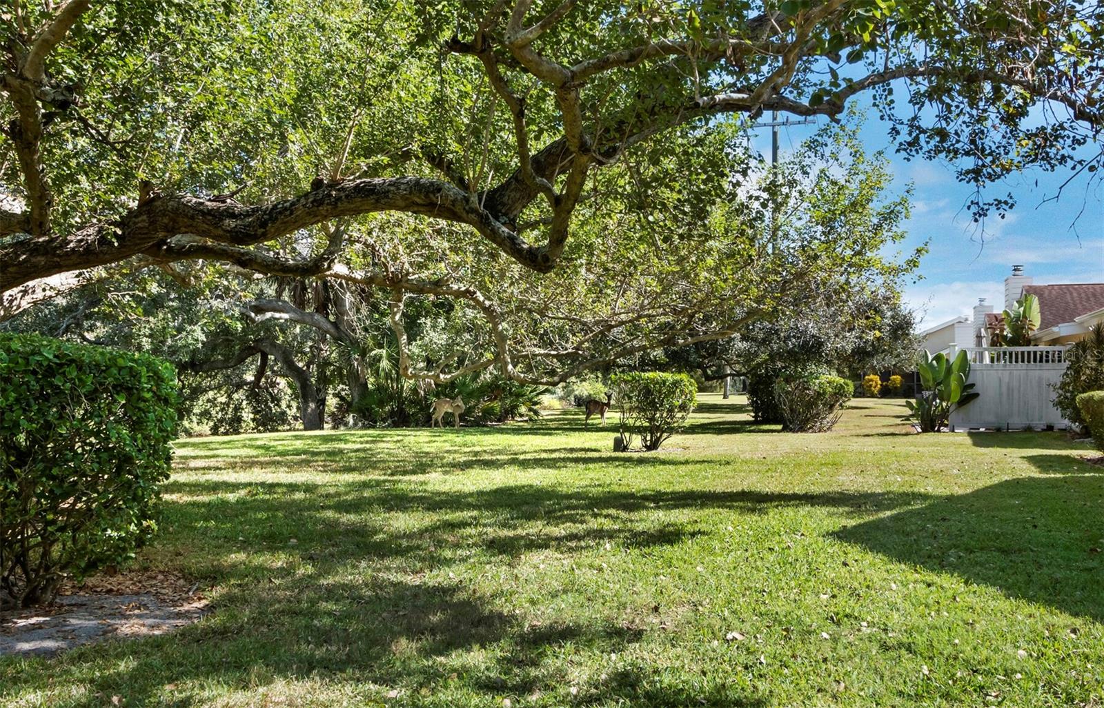 Image 32 of 32 For 4133 Carriage Drive 18