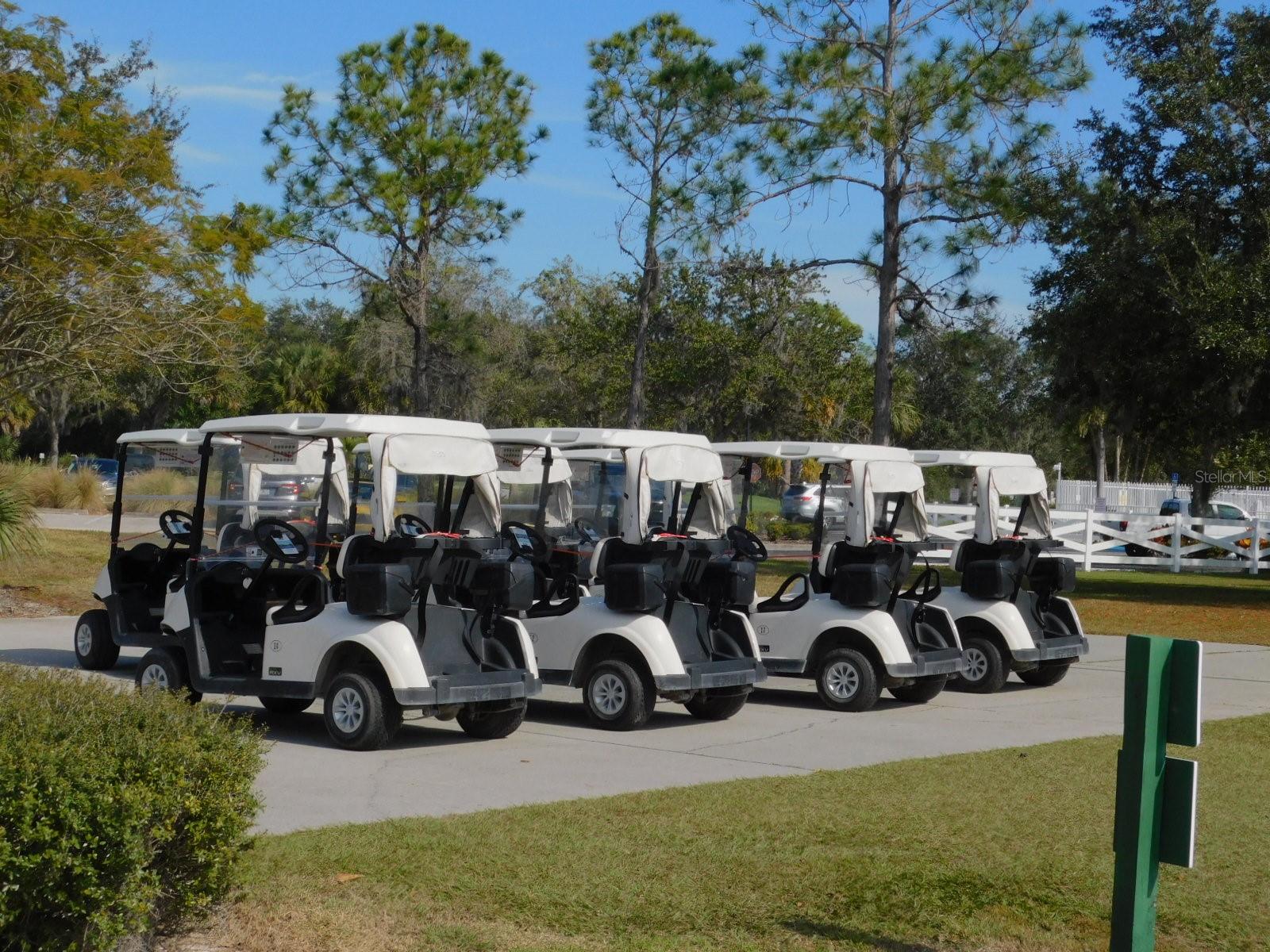 Image 50 of 63 For 7619 Teal Trace