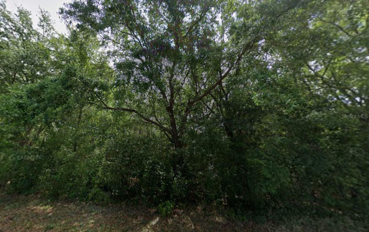 Details for 86 Chinaberry Circle, HOMOSASSA, FL 34446