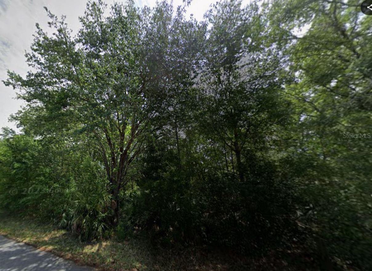 Details for 88 Chinaberry Circle, HOMOSASSA, FL 34446