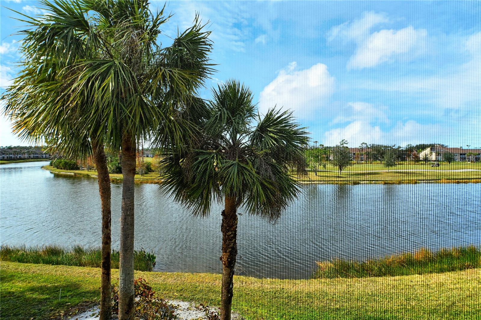 Image 38 of 61 For 5250 Hyland Hills Avenue 1525