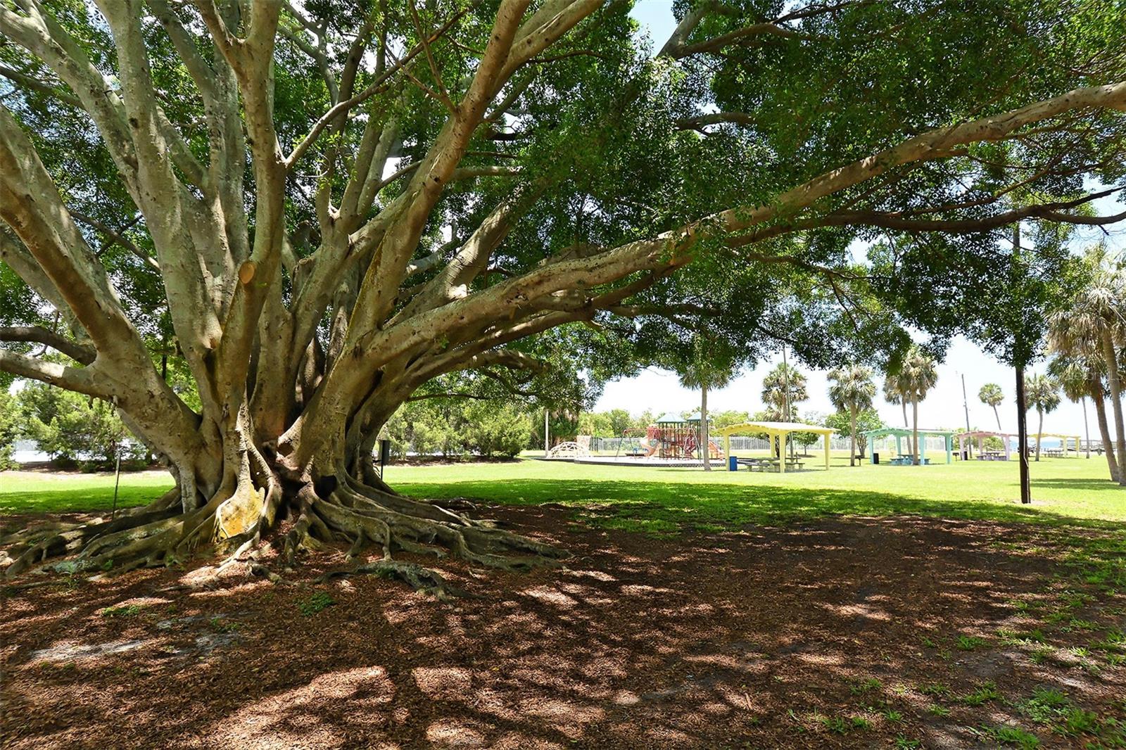 Image 37 of 49 For 2808 60th Avenue W 1904