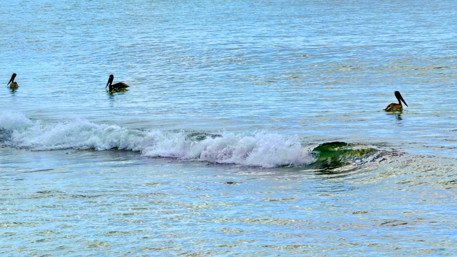 Image 25 of 27 For 7314 Point Of Rocks Road