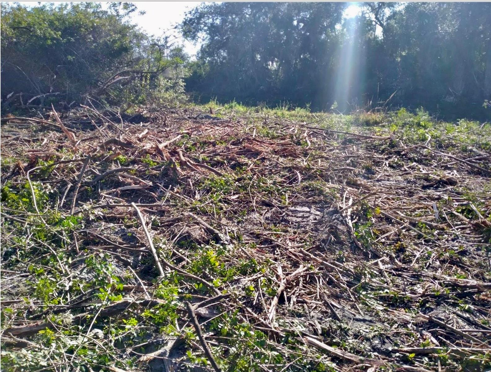 Image 2 of 8 For 4193 Chippewa Street