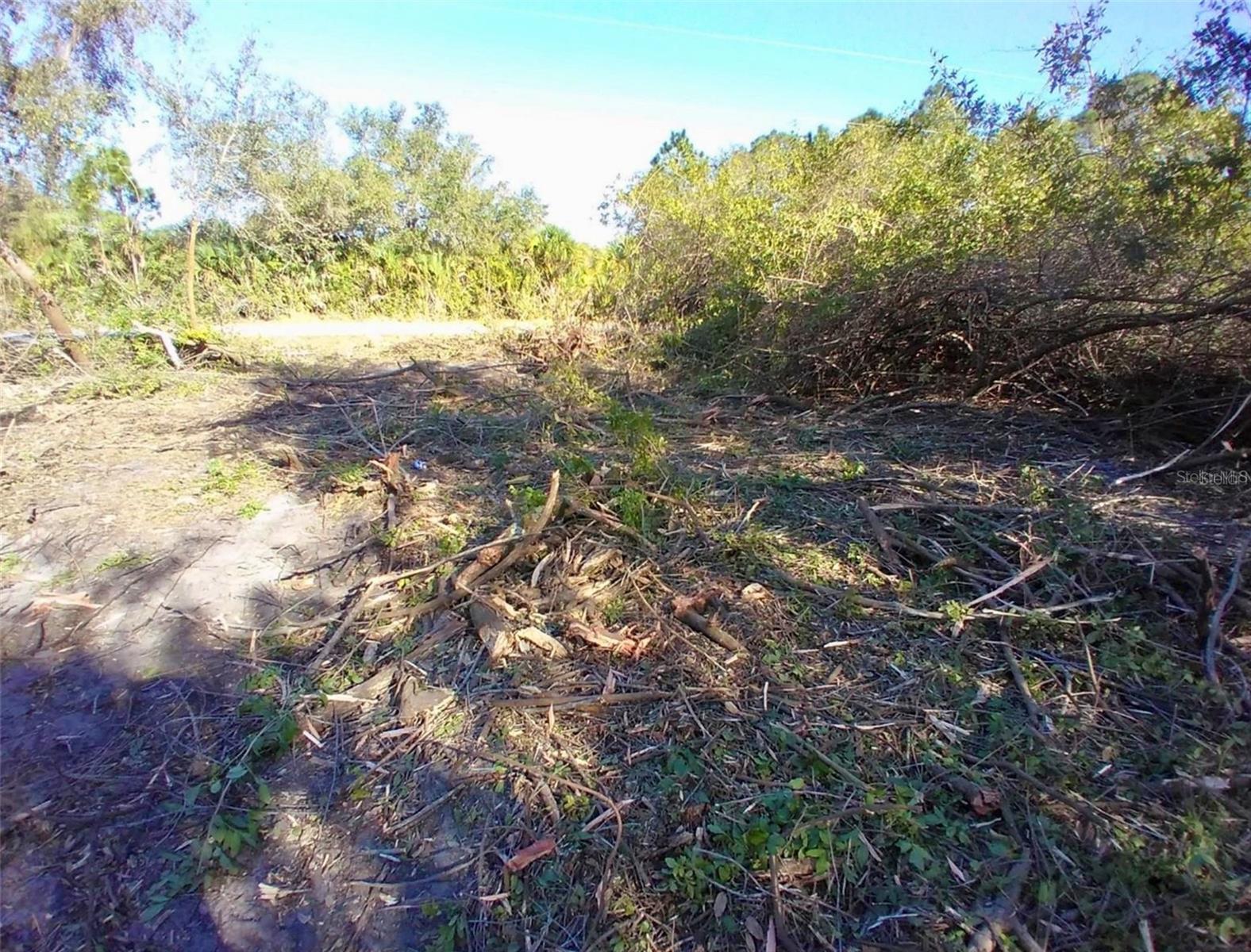 Image 4 of 8 For 4193 Chippewa Street