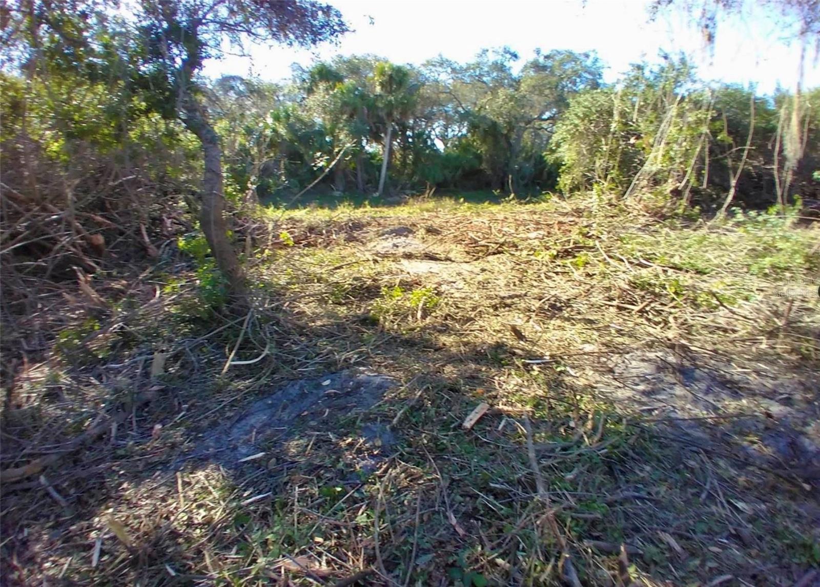 Image 5 of 8 For 4193 Chippewa Street