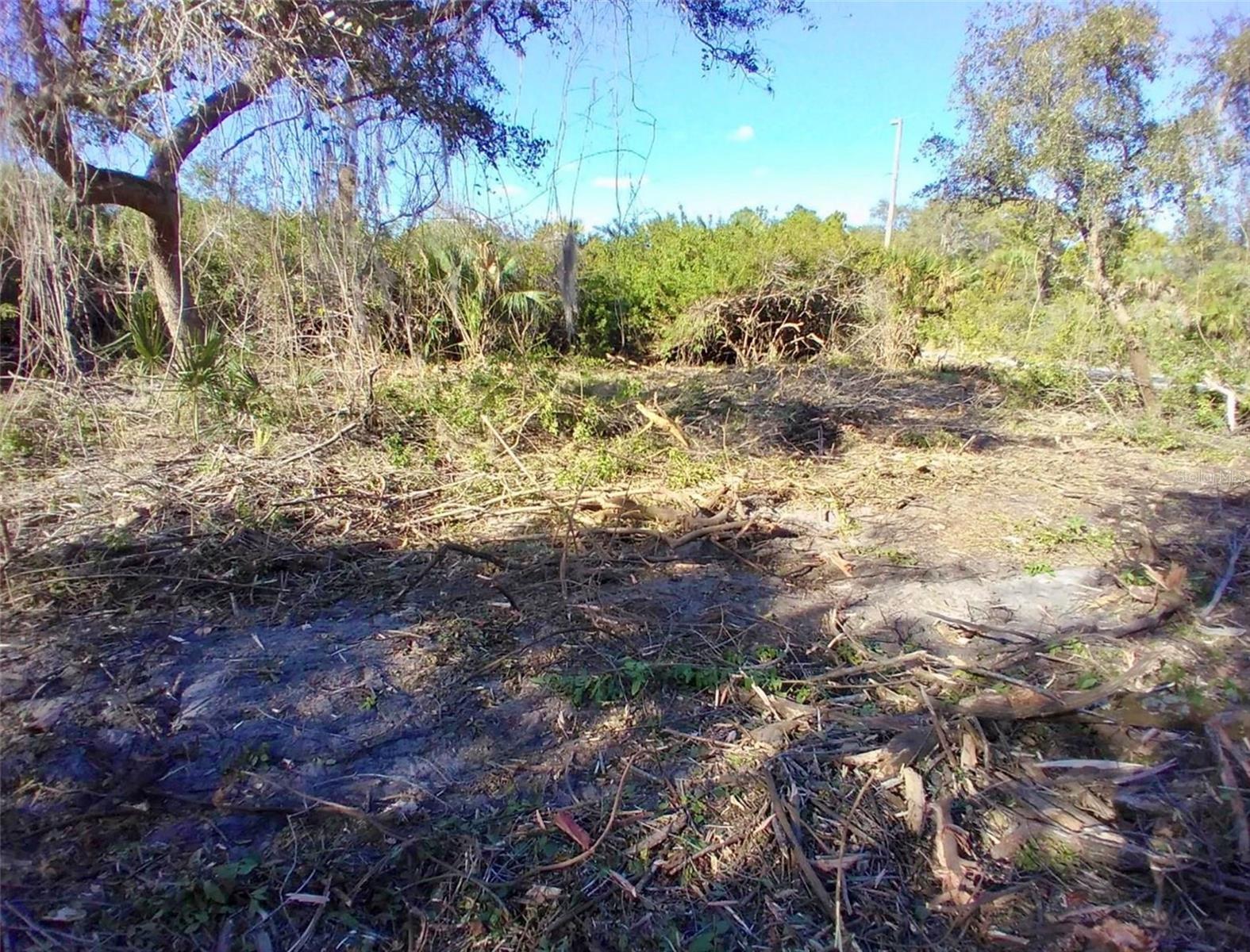 Image 6 of 8 For 4193 Chippewa Street