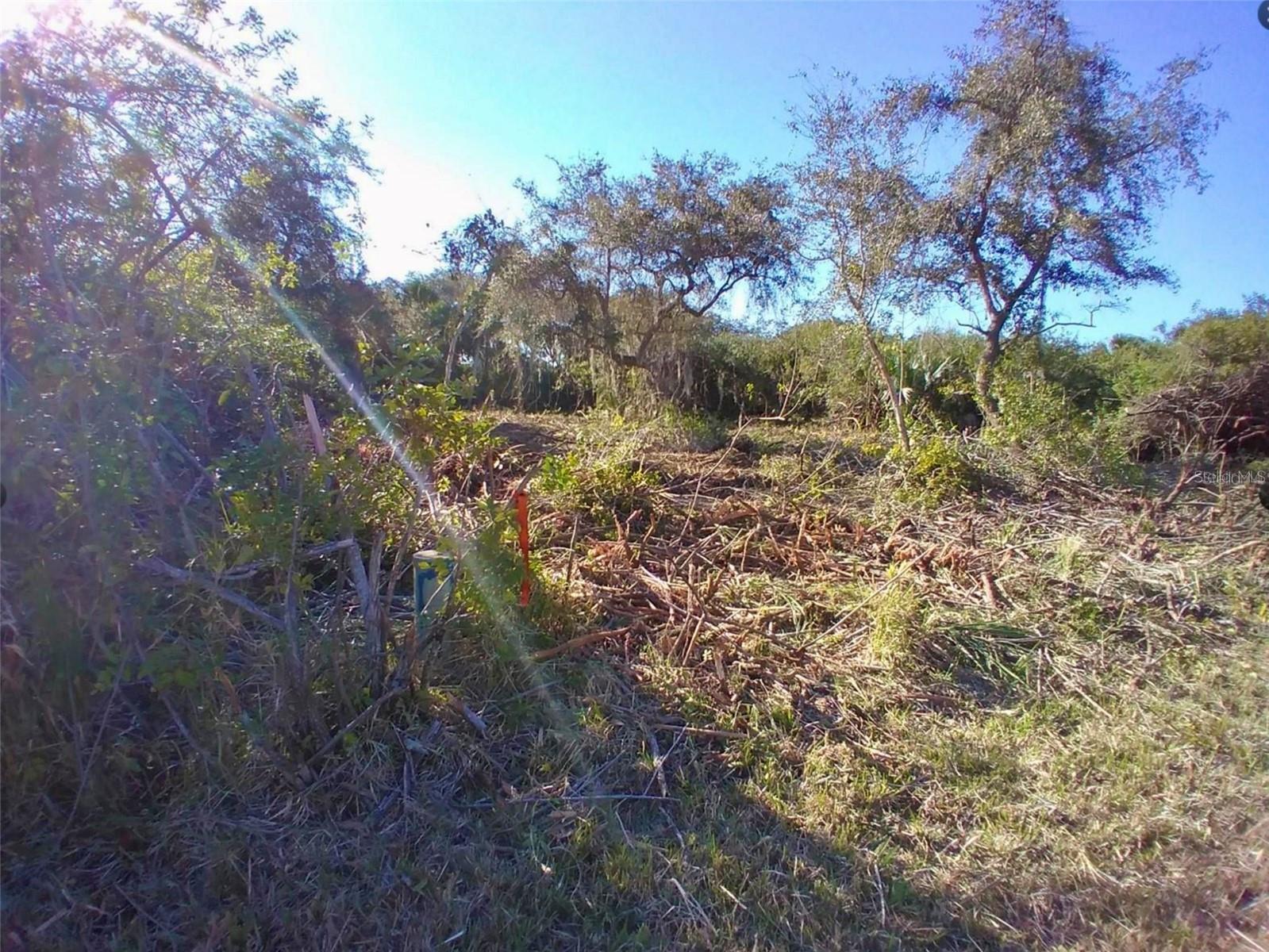 Image 7 of 8 For 4193 Chippewa Street