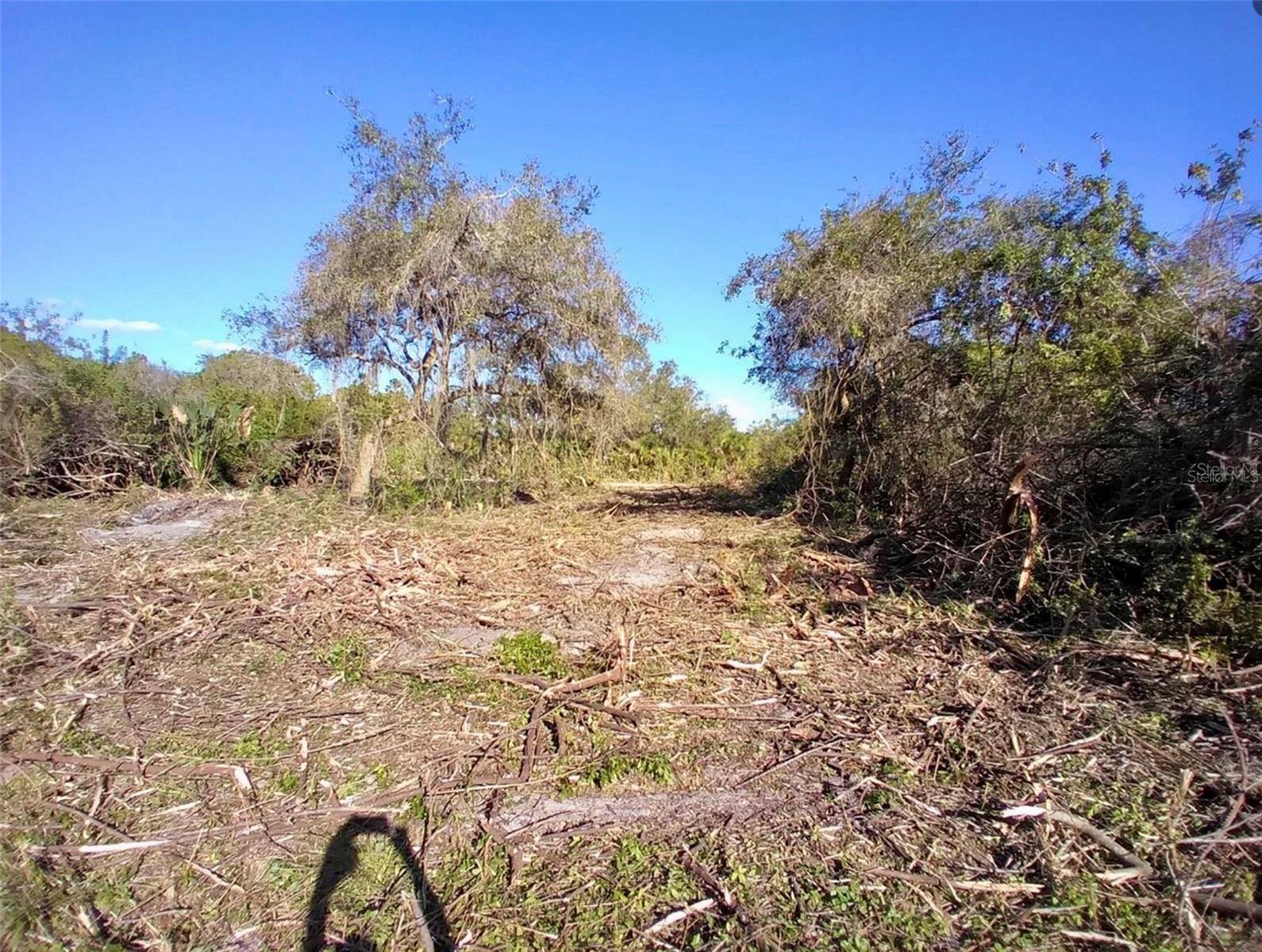 Image 8 of 8 For 4193 Chippewa Street