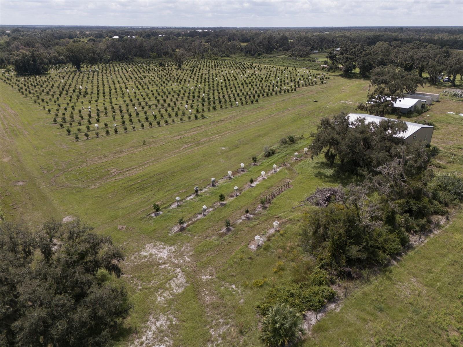 Image 14 of 50 For 32715 Singletary Road