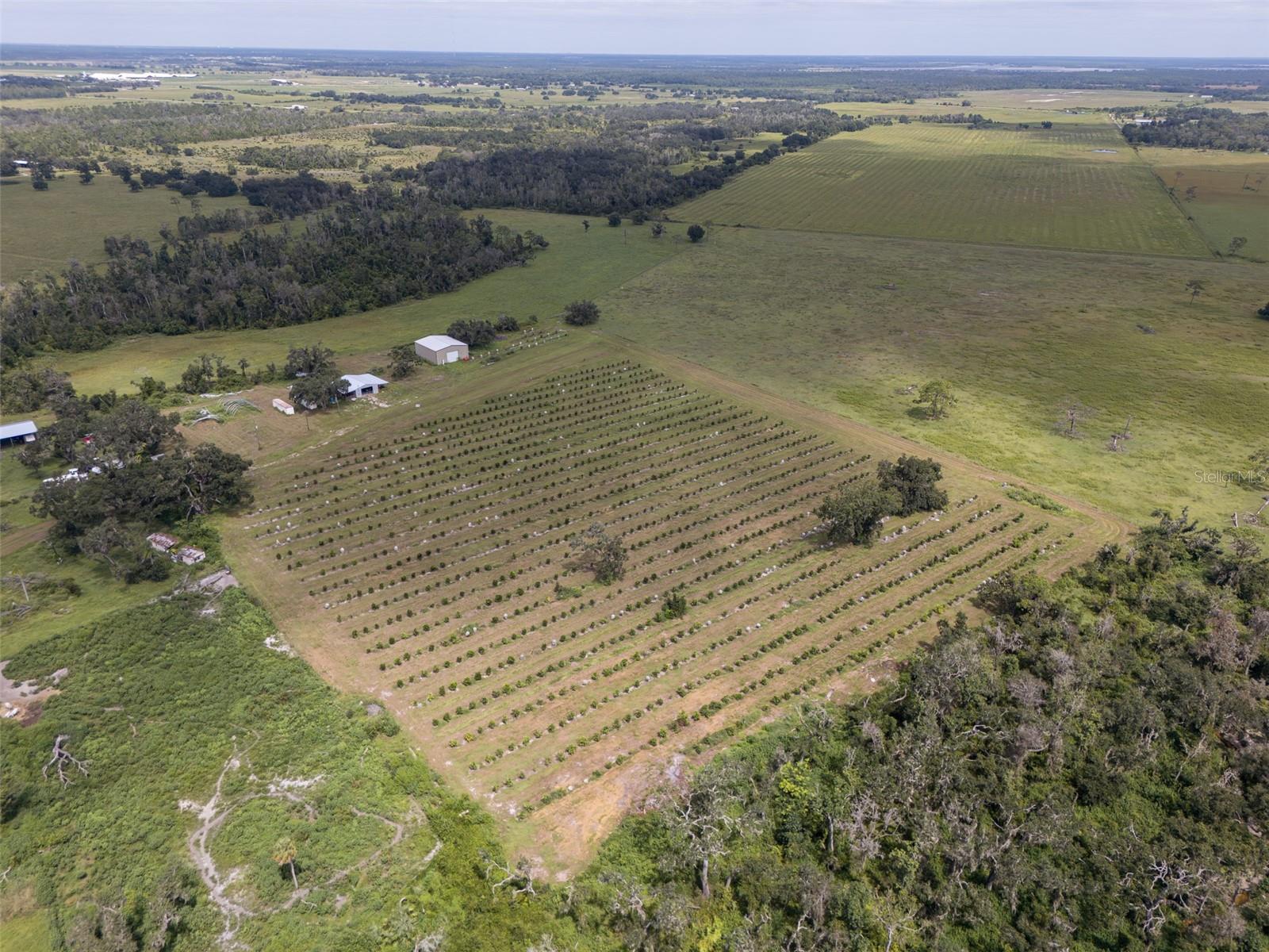 Image 2 of 50 For 32715 Singletary Road