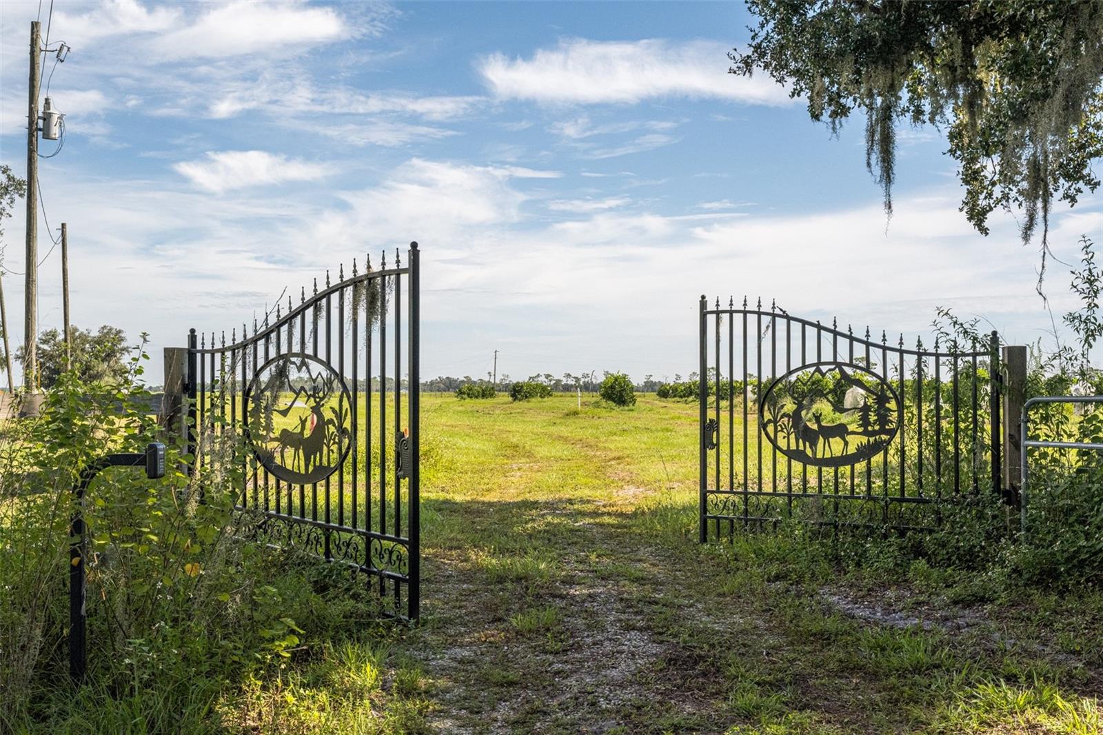 Image 20 of 50 For 32715 Singletary Road