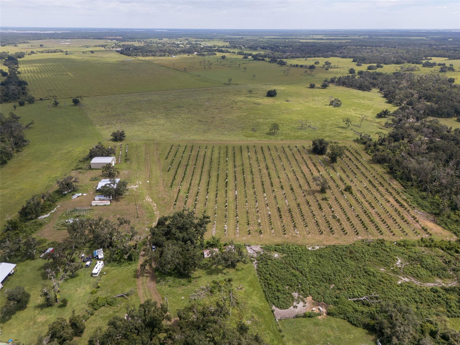 Image 23 of 50 For 32715 Singletary Road