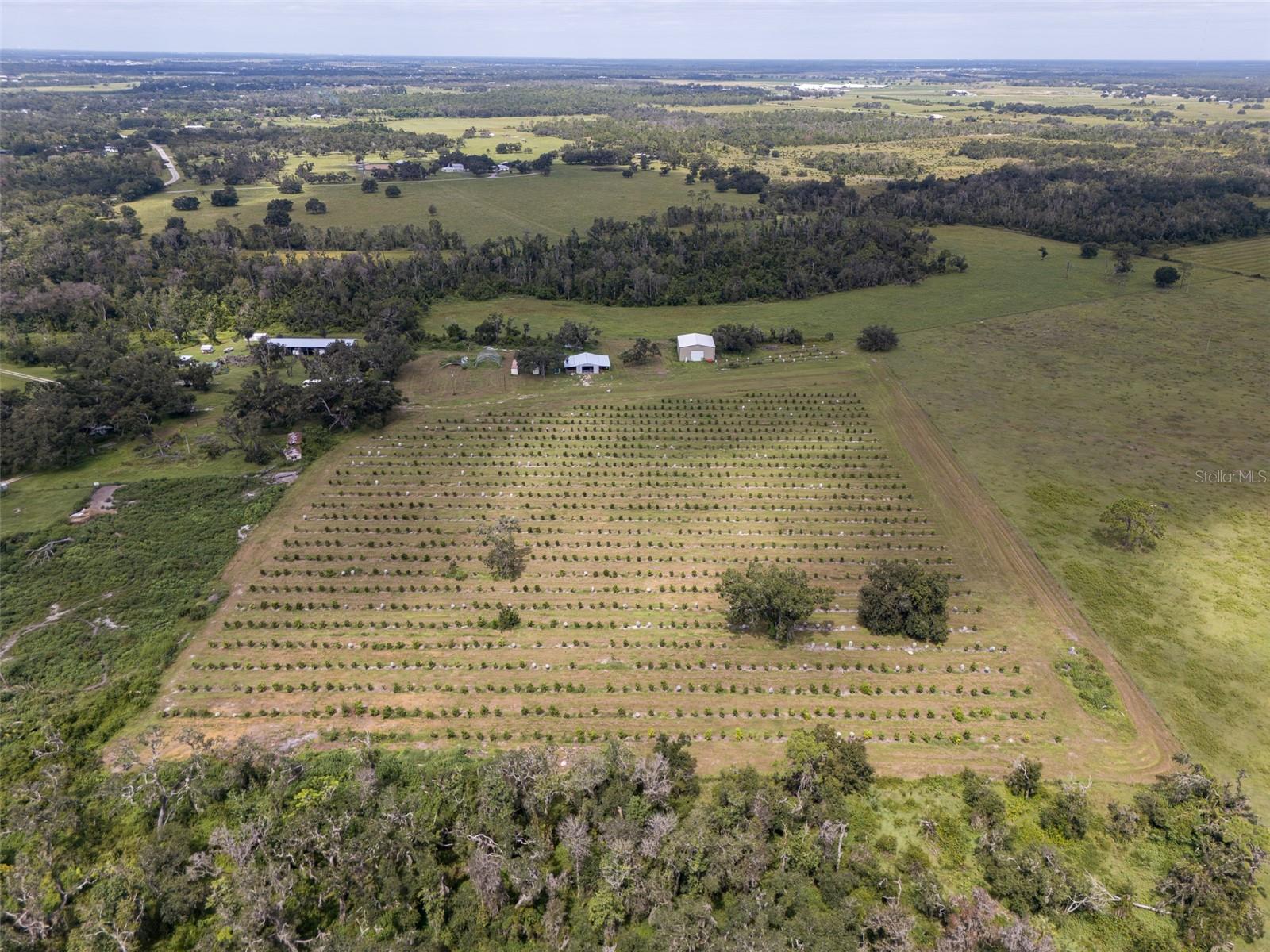 Image 24 of 50 For 32715 Singletary Road