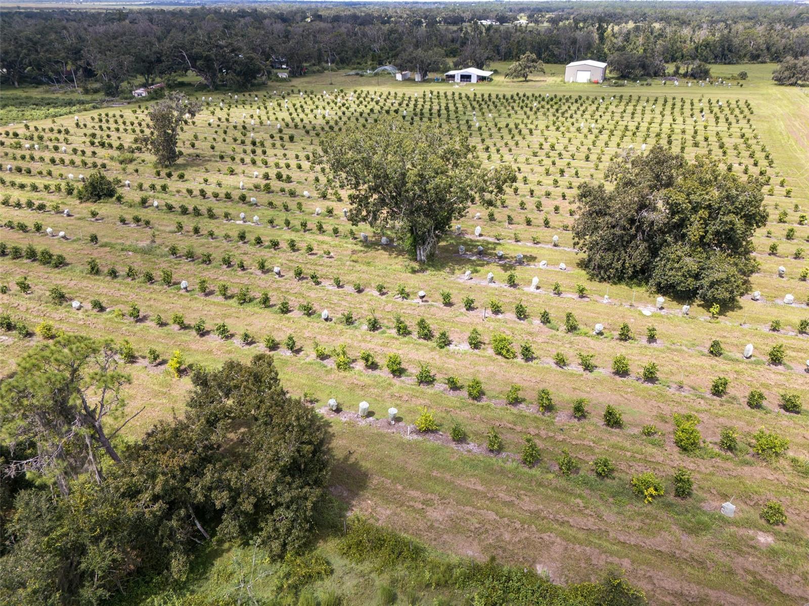 Image 3 of 50 For 32715 Singletary Road