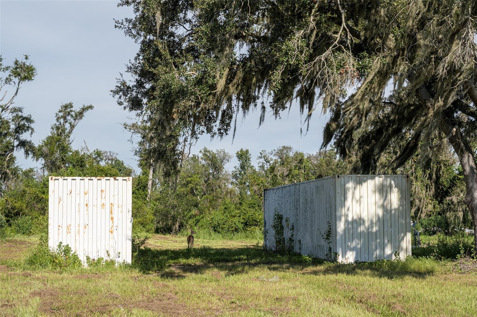 Image 36 of 50 For 32715 Singletary Road