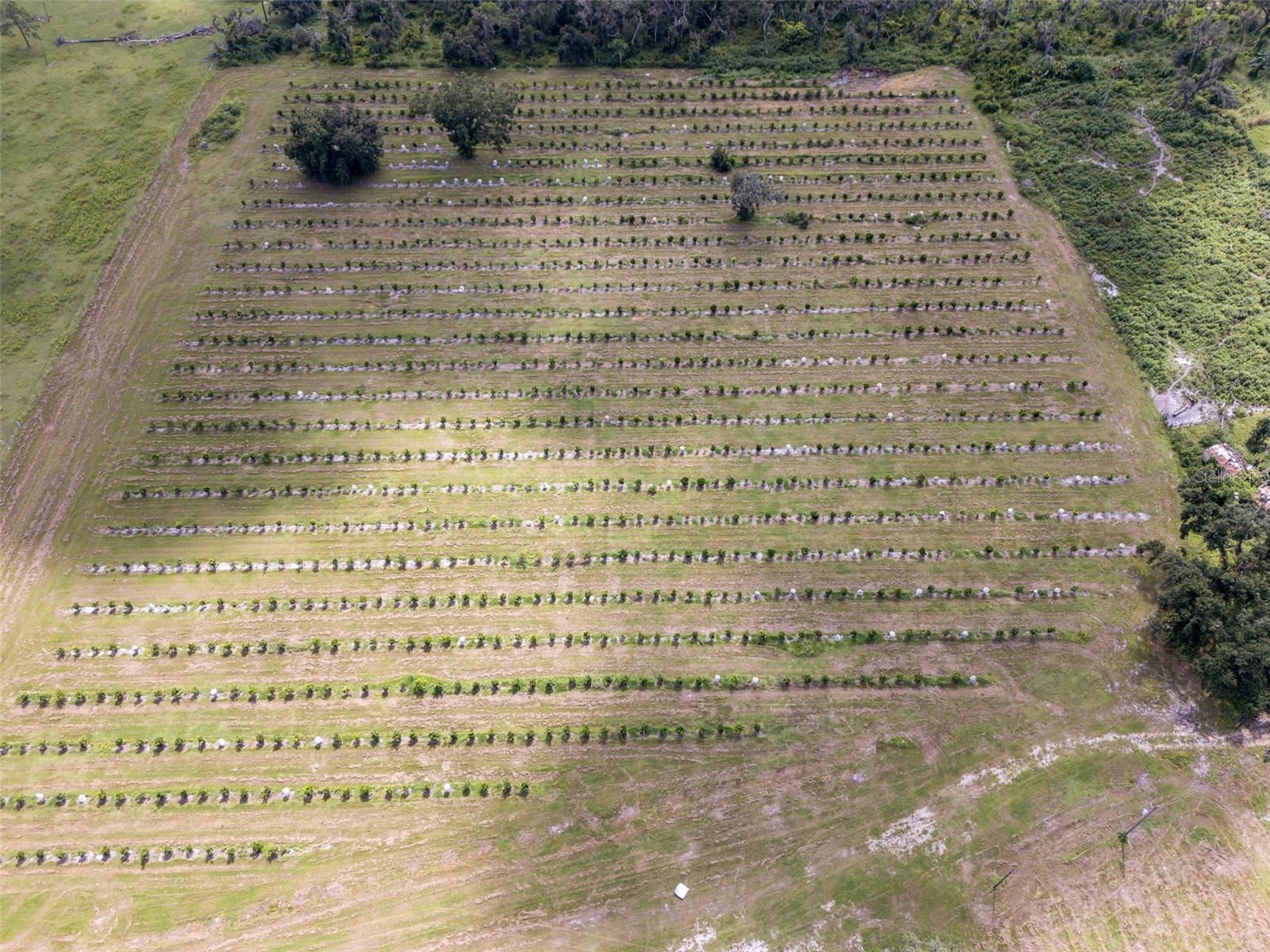 Image 43 of 50 For 32715 Singletary Road