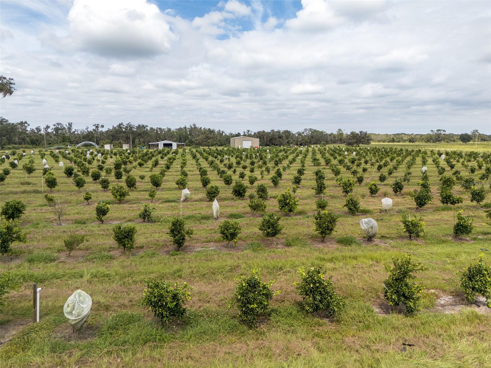 Image 50 of 50 For 32715 Singletary Road