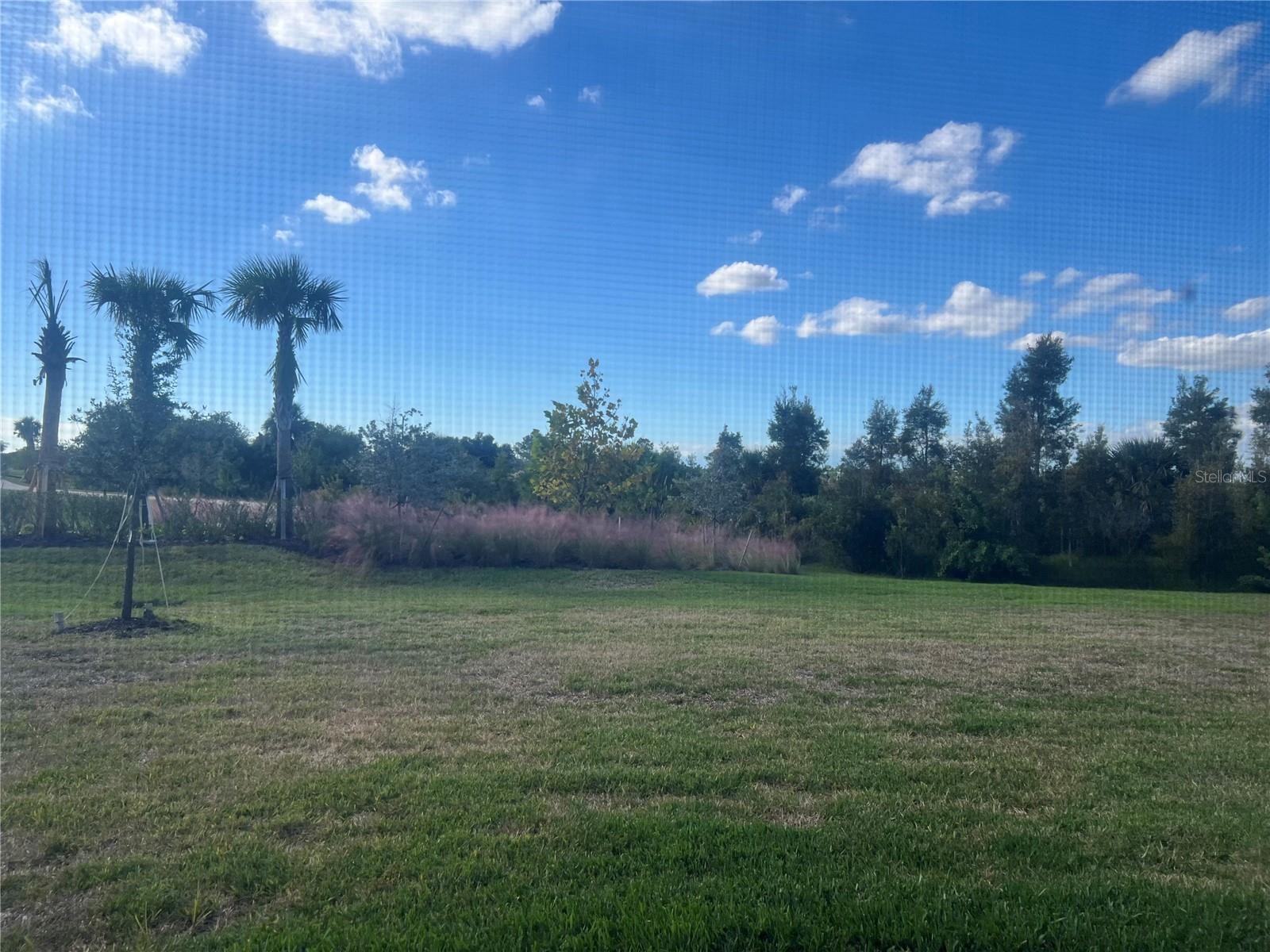 Image 29 of 34 For 17333 Luminous Avenue