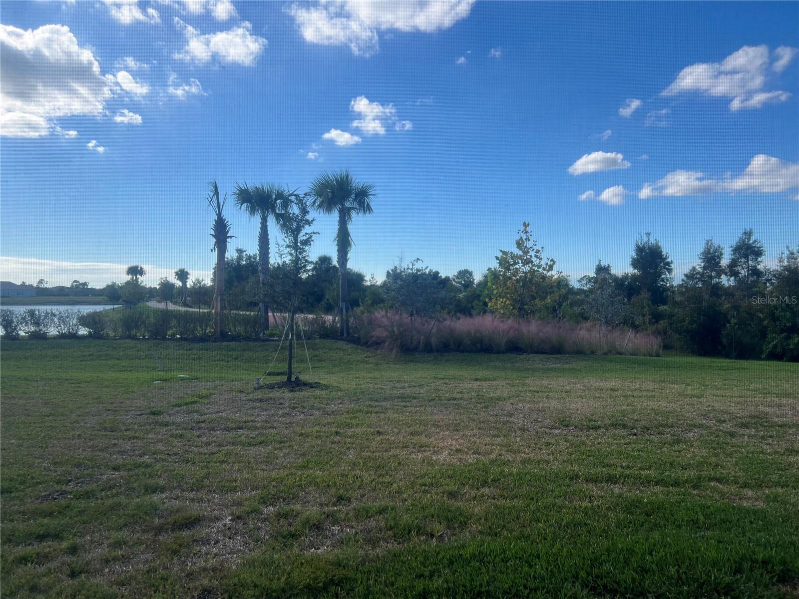 Image 31 of 34 For 17333 Luminous Avenue