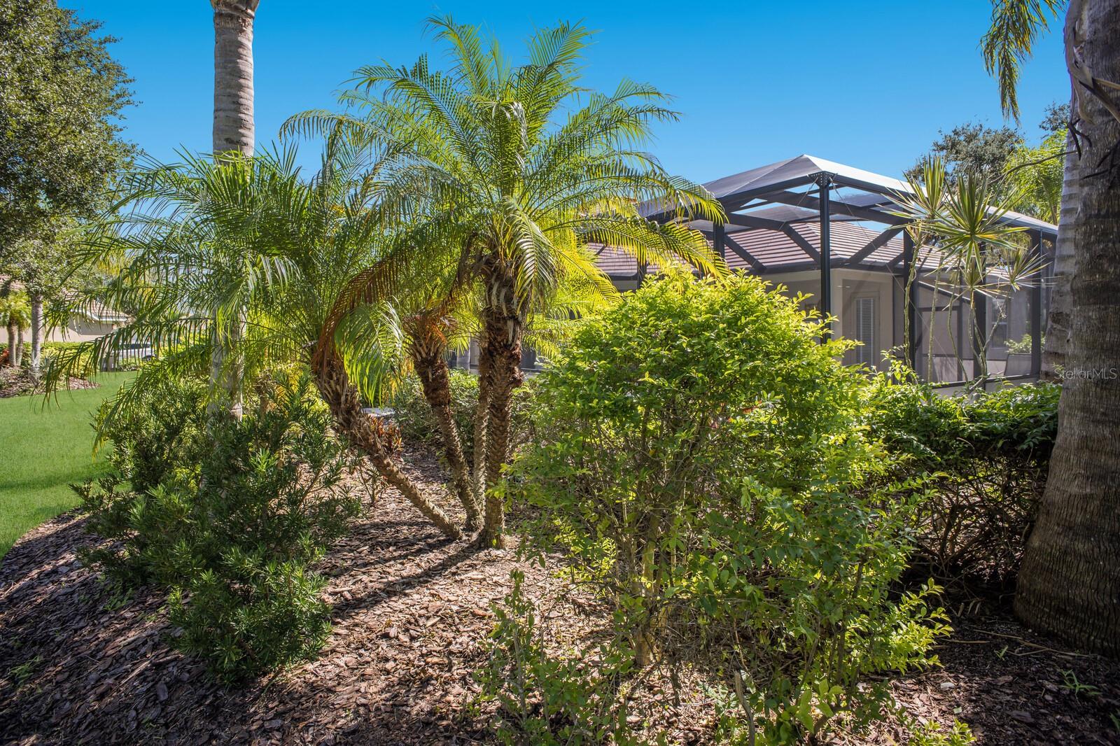 Image 54 of 72 For 12838 Daisy Place