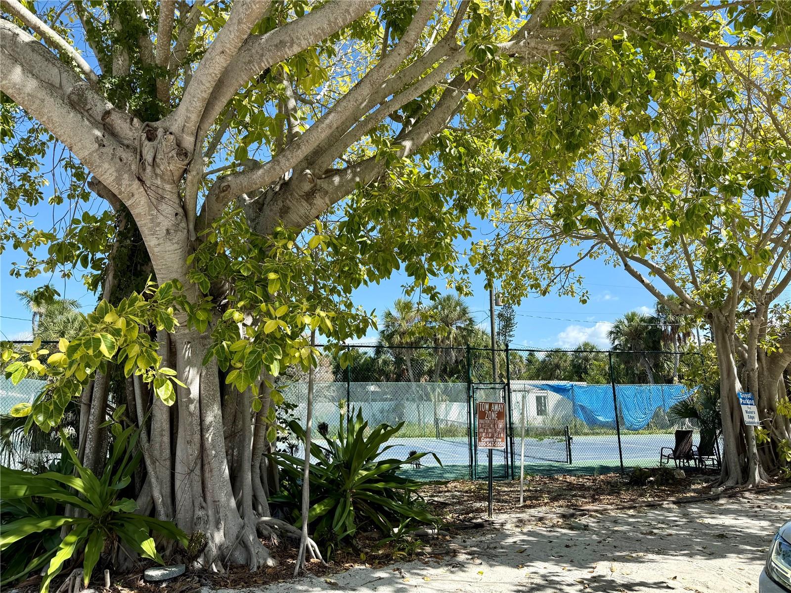 Image 33 of 34 For 5808 Gulf Drive 203