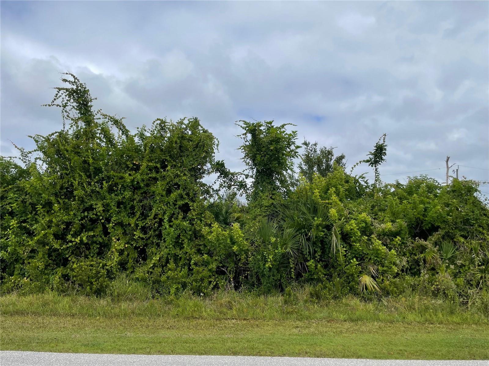 Details for 11216 Carnegie Avenue, ENGLEWOOD, FL 34224