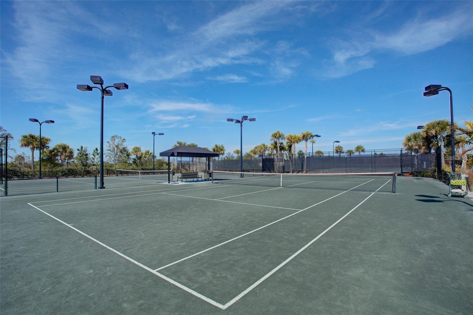 Image 28 of 64 For 13720 Messina Loop 204