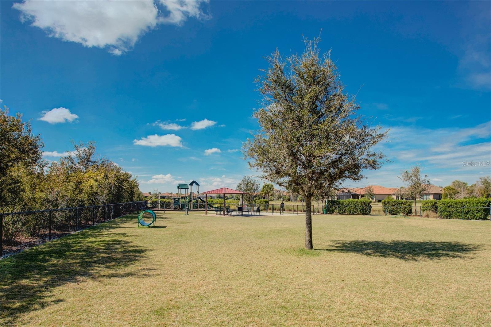 Image 56 of 64 For 13720 Messina Loop 204