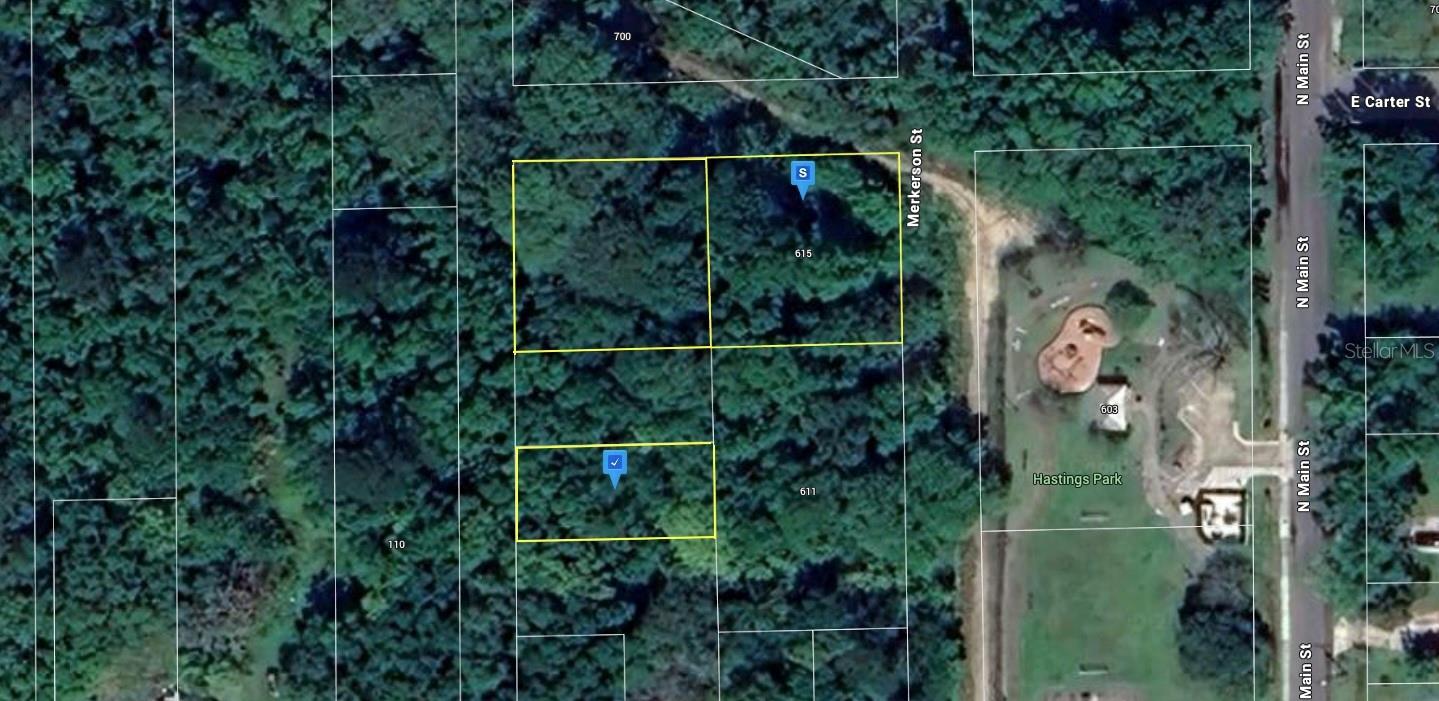 Details for 615 Merkerson Street, HASTINGS, FL 32145