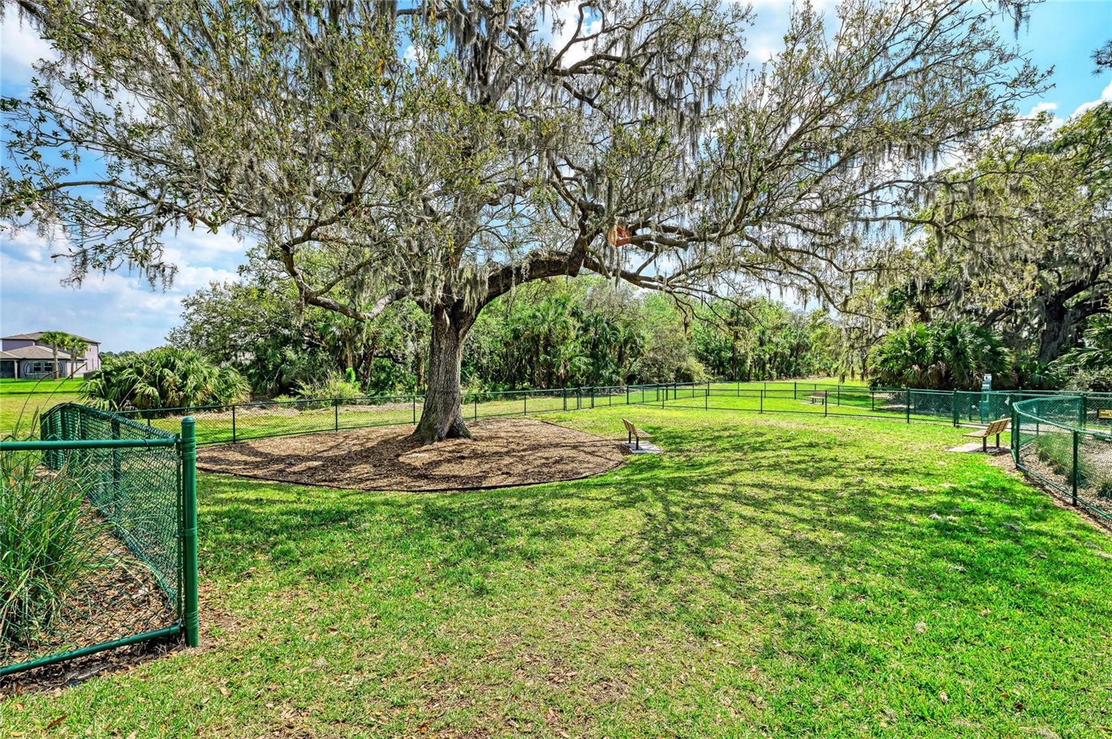 Image 59 of 62 For 8523 Rain Lily Crossing
