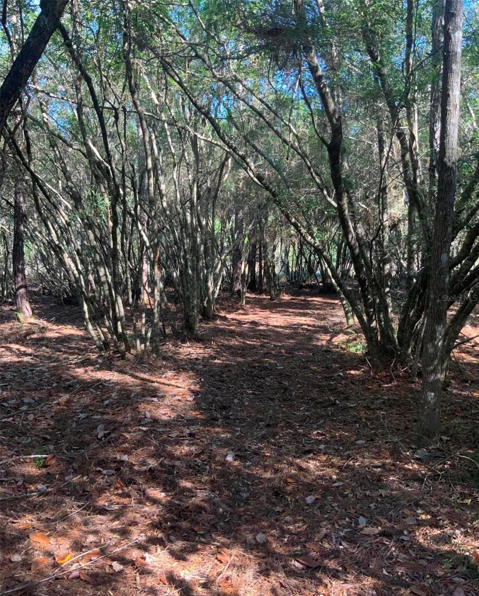 Image 10 of 24 For 21426 51st Avenue