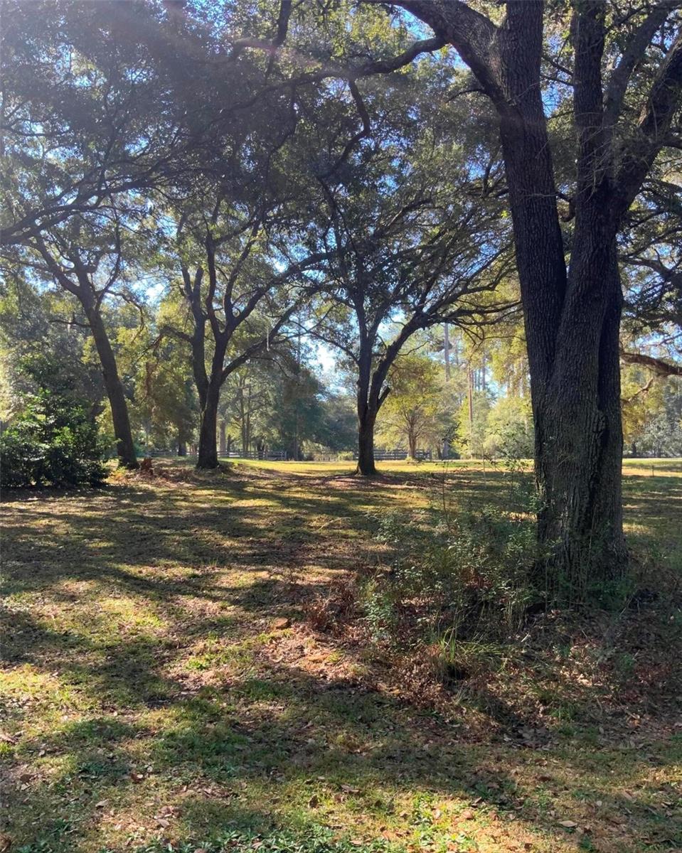 Image 12 of 24 For 21426 51st Avenue