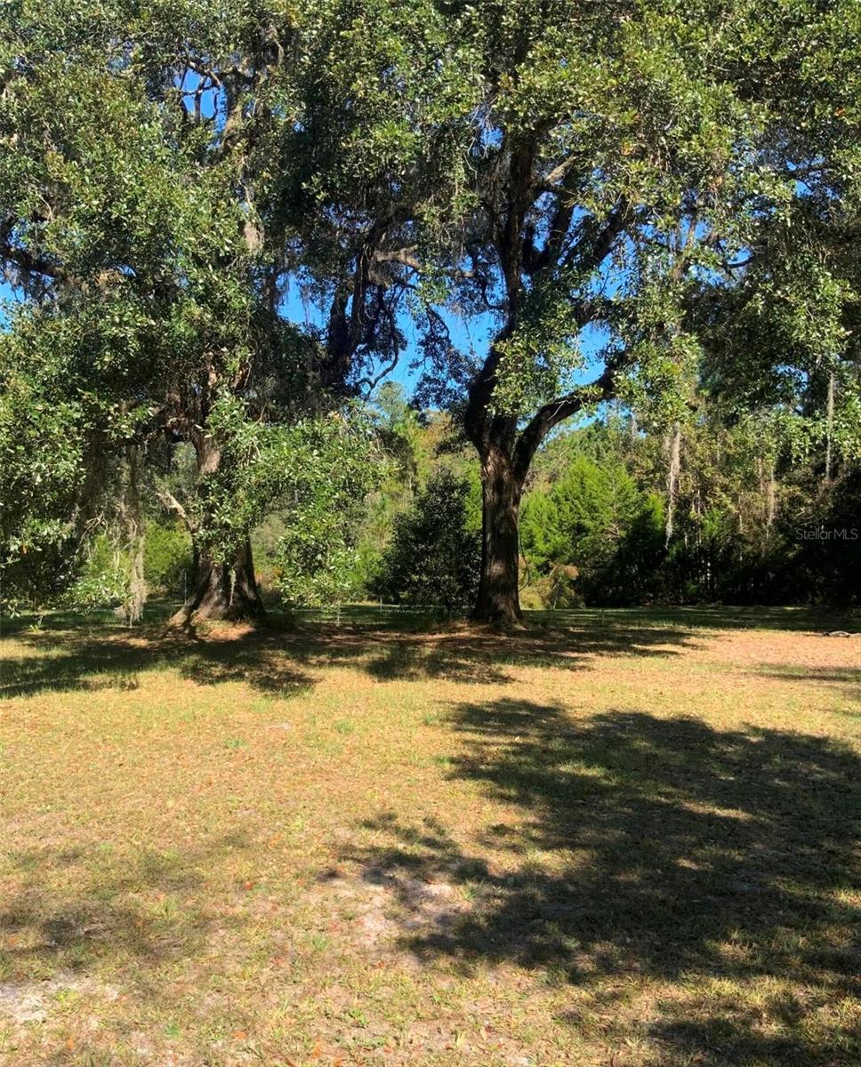 Image 13 of 24 For 21426 51st Avenue