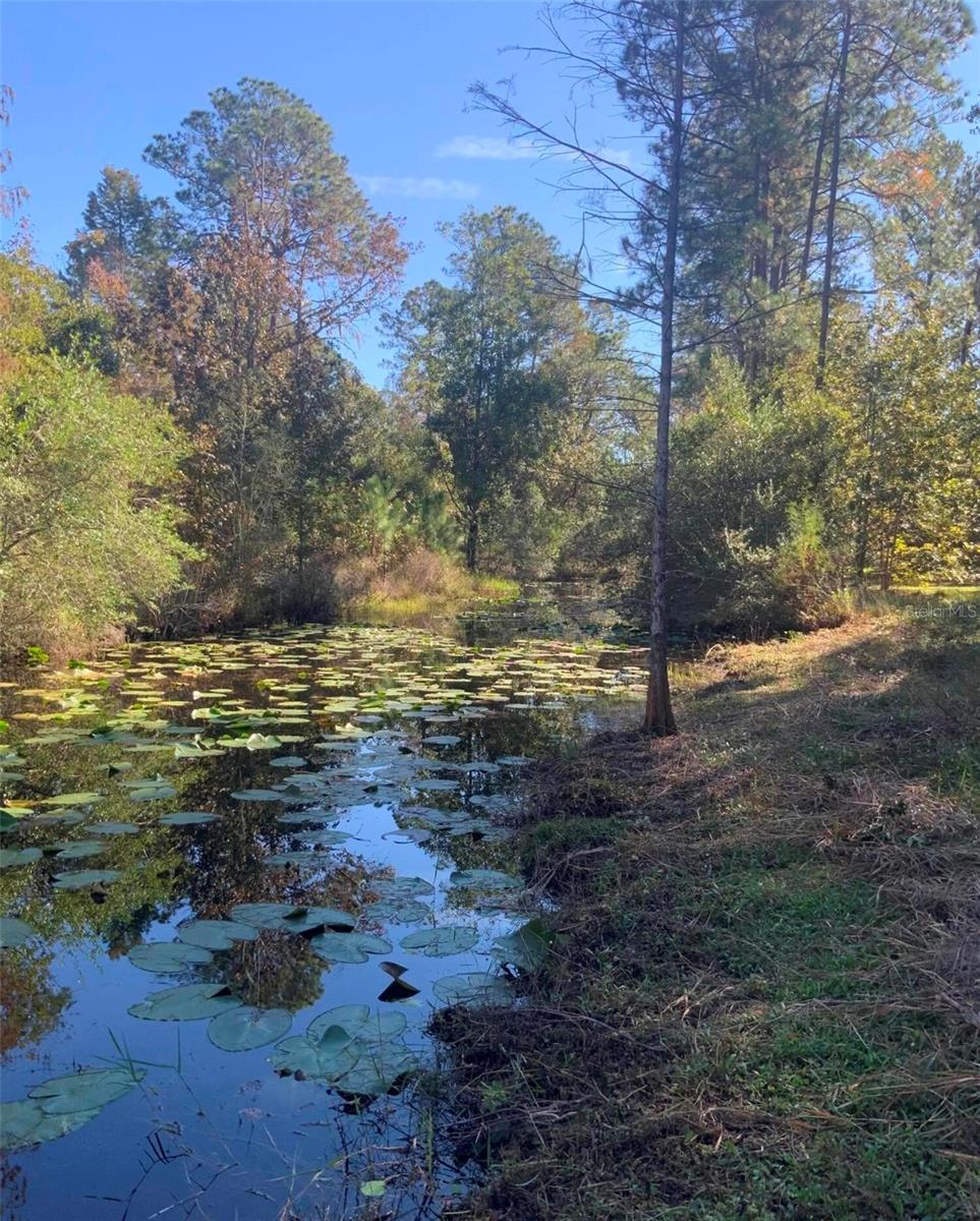 Image 3 of 24 For 21426 51st Avenue