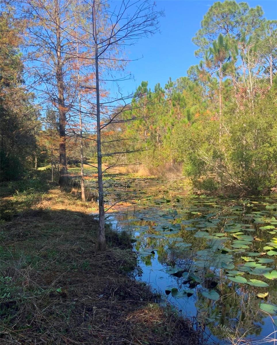 Image 4 of 24 For 21426 51st Avenue