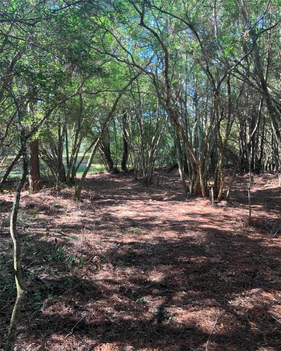 Image 8 of 24 For 21426 51st Avenue