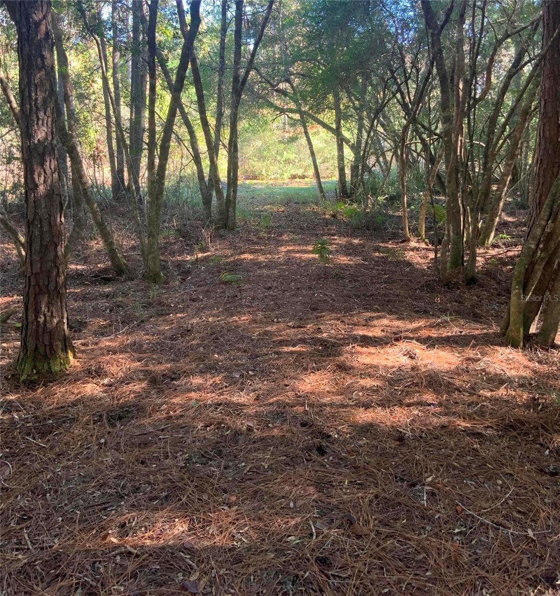 Image 9 of 24 For 21426 51st Avenue